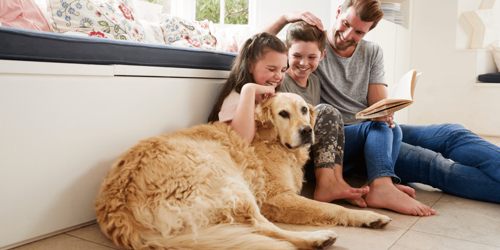 Keep pets safe on holiday with a CO alarm